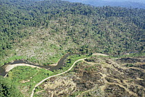 Aerial view of deforestation of lowland Dipterocarp rainforest being clear felled by Tayasan Sabah (Ministry of Forestry) for timber, Sabah, Borneo, Malaysia, 2005