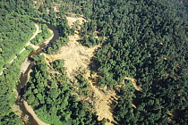 Aerial view of deforestation of lowland Dipterocarp rainforest being clear felled by Tayasan Sabah (Ministry of Forestry) for timber, Sabah, Borneo, Malaysia, 2005