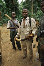Members of the Wildlife Conservation Society anti-poaching patrol team with confiscated African forest elephant tusks, Dzanga-Sanga Bai, Bayanga, Central African Republic, 2003