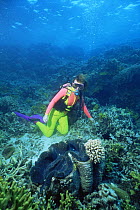 Diver with Giant clam {Tridacna gigas} Great Barrier Reef, Queensland, Australia