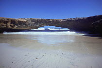 Natural rock arch caused by wave erosion, Aruba, Caribbean