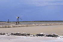 Abandoned salt ponds, Salt Cay, Turks and Caicos Islands, Caribbean