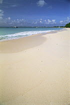 Seven Mile Beach, Grand Cayman Is, Cayman Island, Caribbean