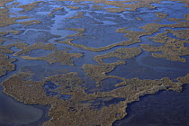 Aerial view of Bombay Hook NWR, Delaware Bay, Delaware, USA.  Salt marsh and refuge for migratory flocks of Greater snow geese.  November 2005, BBC Planet Earth