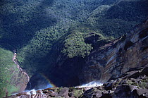 Looking over edge of Angel Falls, world's tallest waterfall, southern Venezuela, South America November 2005, BBC Planet Earth