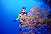 Diver and Seafan, Flinders reef, Coral sea, Australia