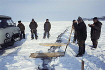 Local men preparing planks to use as bridge across cracking ice plate, 1 mile out from shoreline of Lake Baikal, world's deepest and oldest (and largest by volume) freshwater lake, Siberia, Russia BB...