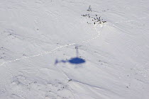 Polar Bear {Ursus maritimus} biologists follow mother and cub tracks from the air by helicopter, Wapusk NP, Manitoba, Canada