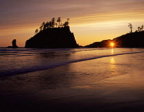Setting sun shining through rock window in seastack, receding tide, Second beach, Olympic peninsula, Olympic NP, Washington, USA