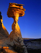 Hoodoo rock pillar and boulder eroded by the weather, Boulder Mountain, Aquarius plateau, Utah, USA