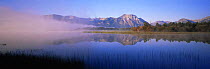Lower Waterton Lake and Vimy Peak in mist at dawn, Waterton Glacier International Peace Park, Waterton Lakes NP, Alberta, Canada