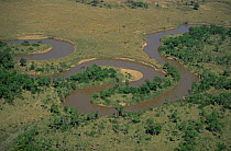 Aerial view of tight meanders in Mara river, Masai Mara GR, Kenya