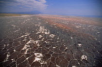 Aerial view of Lake Natron showing mineral deposits, Tanzania