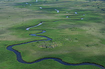 Aerial view of Okavango river, Okavango delta, Botswana