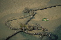 Aerial view of tribesman repairing traditional fish trap fences at low tide, Kosi Bay, Kwa-Zulu Natal, South Africa