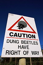 'Dung beetles have right of way' warning road sign, Addo NP, South Africa
