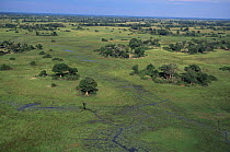 Aerial view of Okavango delta, Botswana