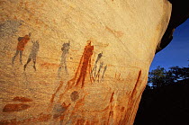 Bushman rock art, 'Fallen Rock' site, Bushmans Kloof, Cederberg, South Africa