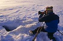 Cameraman Martin Saunders filming at ice hole for BBC 'Kingdom of the Ice Bear', April 1996, Leifdefj, Svalbard, Norway