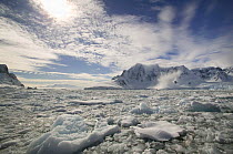 Brash ice in Antarctic peninsula , Feb 2005.