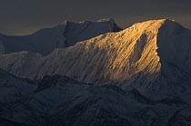 Tilicho Peak with Annapurna I in background, at sunrise, viewed from Syangboche, Lower Mustang, Nepal