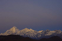 Daulagiri (left) and Tukuche ridge (right) viewed from Muktinath, at dawn, Lower Mustang, Nepal