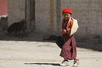 Young Buddhist monk in Chhode Gompa, Lo-Manthang, Upper Mustang, Nepal