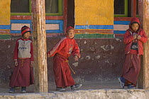 Young Buddhist monks, Chhode Gompa, Lo-Manthang, Upper Mustang, Nepal