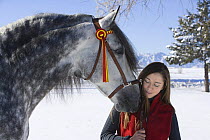 Woman with grey Andalusian stallion, Longmont, Colorado, USA. Model released.
