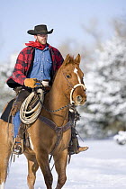 Cowboy riding red dun Quarter horse gelding in snow, Berthoud, Colorado, USA.
