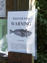 Weever Fish warning sign, Barafundle Bay, Stackpole, Pembrokeshire, Wales, UK
