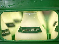 Bottles of organic milk, Co Durham, UK