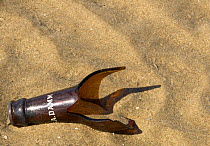 Broken bottle on beach, UK