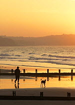 Man walking dog at sunset, Wisemans Bridge beach, Pembrokeshire, South Wales, UK.