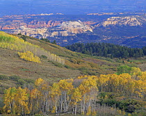 View from Boulder Mountain of the Escalante Canyon complex in autumn, Dixie National Forest, Utah, USA