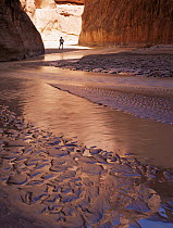 Hiker amongst sand stone cliffs and wave ripple patterns, Paria Canyon, Arizona, USA