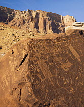 Rock carvings / petroglyphs on boulders near Lee's Ferry, Paria Canyon, Arizona, USA