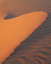 Sand dune patterns, Biosphere Reserve of Pinacate and Gran Desierto Altar, Sonoran desert, Mexico