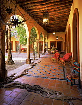 Courtyard of Hotel La Posada, El Fuerte, Sinaloa, Mexico, with {Ficus sp} roots spreading across the tiled floor.