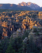 Eroded rock spires of The Heart of the Rocks with Cochise Head in the background, sunset, Chirichahua National Monument, Arizona, USA