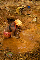 Panning for gold. This mining is now illegal as it takes place in the protected forest of Daraina which is the habitat for the Golden-crowned / Tattersall's sifaka (Propithecus tattersalli) in North-e...