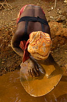 Panning for gold. This mining is now illegal as it takes place in the protected forest of Daraina which is the habitat for the Golden-crowned / Tattersall's sifaka (Propithecus tattersalli) in North-e...