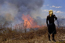 Tavy or Slash-and-burn-agriculture, nr Daraina, NE Madagascar. This method of farming where new forest is cut down after a few years when the soil is no longer productive is blamed for the permanent d...