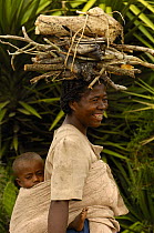 Antandroy woman carrying child and collecting firewood. Spiny forests of Southern Madagascar 2005