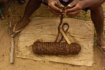 String of braided tabacco leaves. Tabacco is sold by unit length, then dried and hand rolled. Antandroy market at Faux Cap, Southern MADAGASCAR.   2005