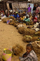 Antandroy people at street market selling plants used in medicinal trade, Faux Cap Market, Southern MADAGASCAR.   2005