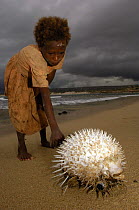 Antandroy child inspecting pufferfish that was brought in by fishermen. Lavanono fishing village, south coast of MADAGASCAR 2005