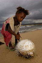 Antandroy child inspecting pufferfish that was brought in by fishermen. Lavanono fishing village, south coast of MADAGASCAR