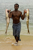 Vezo fisherman bringing catch ashore. Lavanono  fishing village, south coast of MADAGASCAR 2005