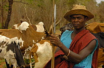 Mahafaly herder, Ampanihy, south-west coast of MADAGASCAR   2005